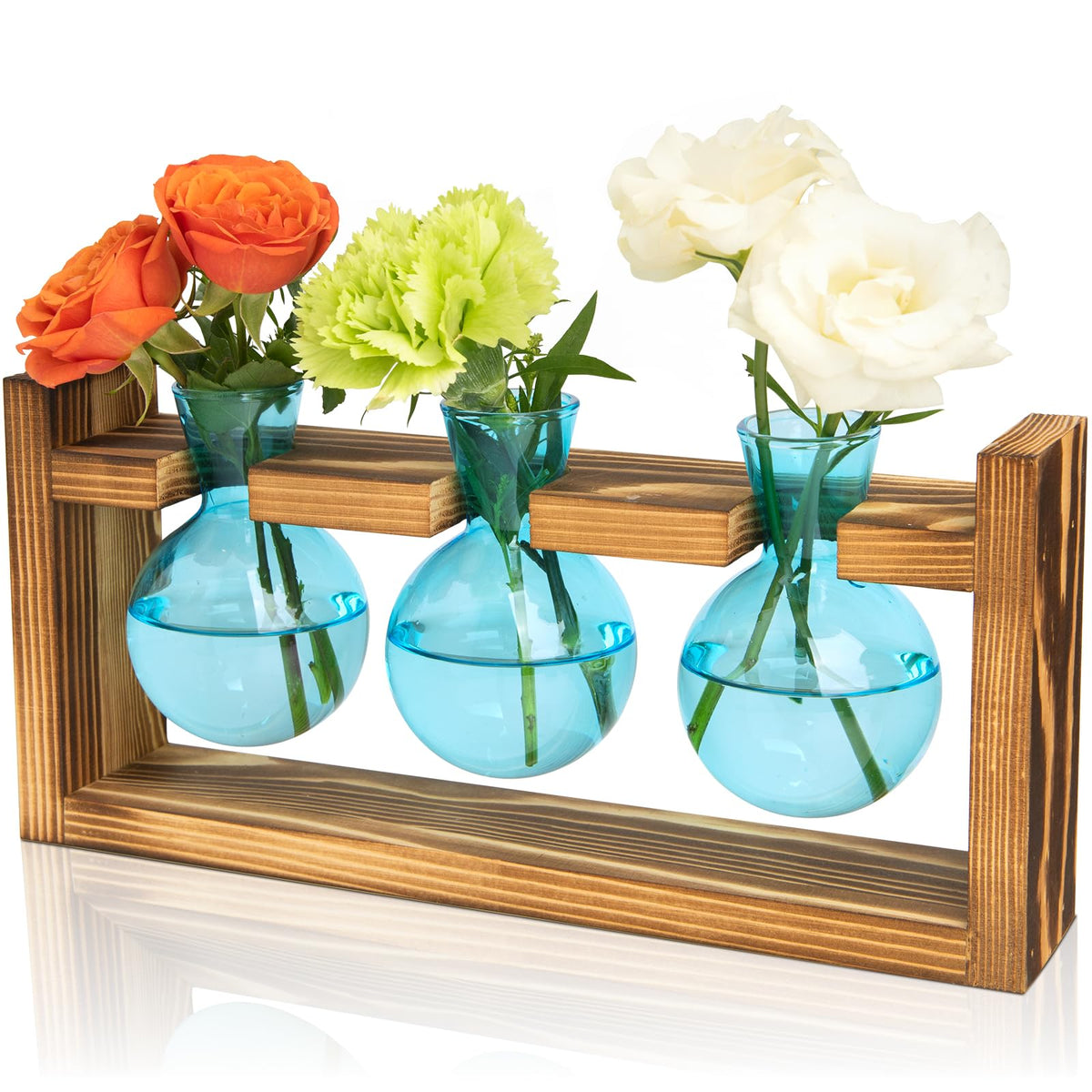 XXXFLOWER propagation station on wood stand with blue bulbs for easy propagation on a desk