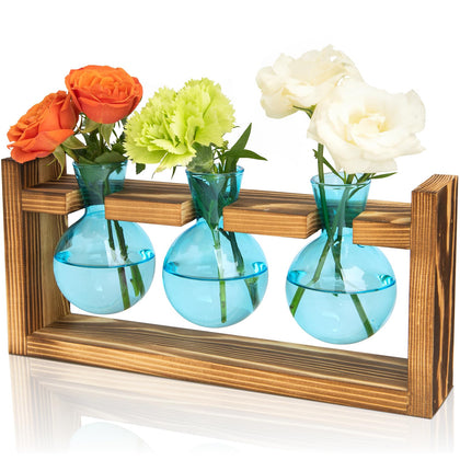 XXXFLOWER propagation station on wood stand with blue bulbs for easy propagation on a desk