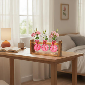 XXXFLOWER root growth viewing terrarium aids plant care rituals.