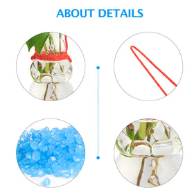XXXFLOWER snowman-wall-propagation-station close-up reveals crystal-clear glass and precise design.