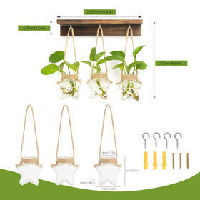 XXXFLOWER stained wooden frame adds natural decor to propagation station