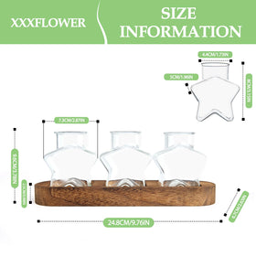 XXXFLOWER star vase glass terrarium catching light for hydroponic display.