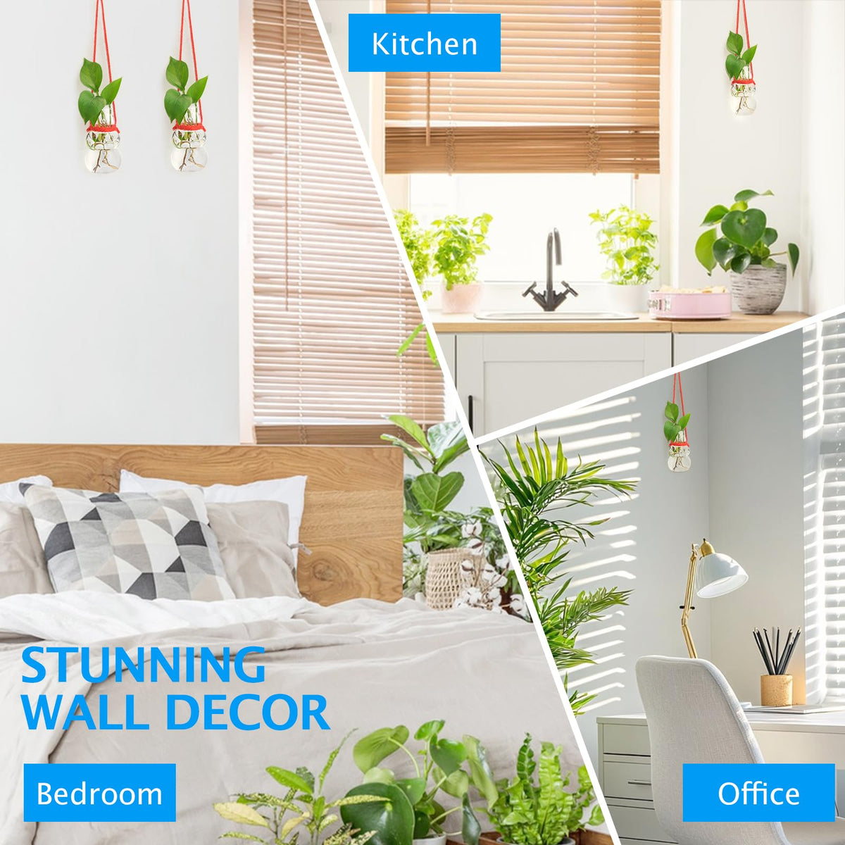 XXXFLOWER wall-hanging plant display with red rope saves desk space.