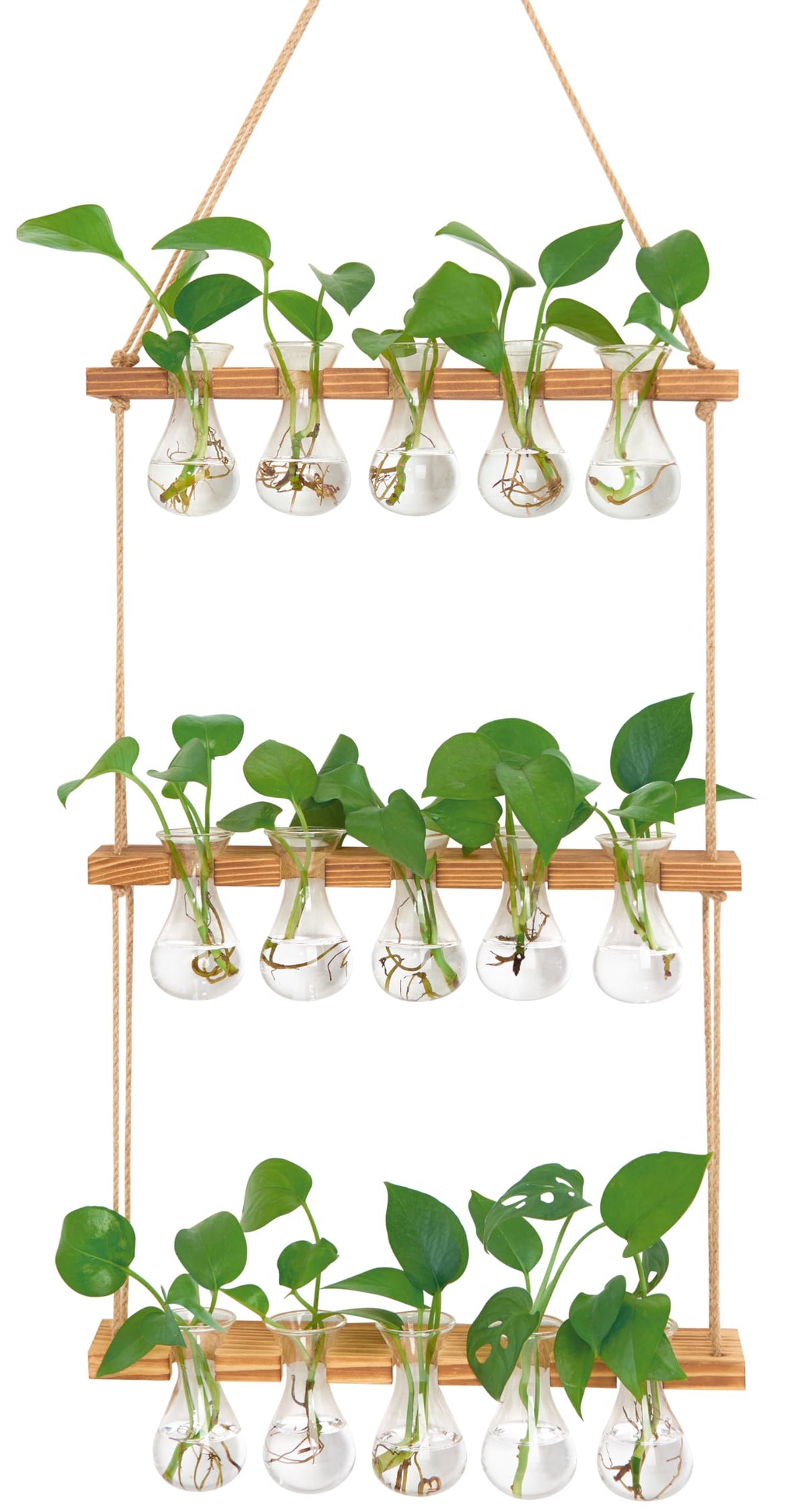 XXXFLOWER wall-hanging propagation station on wooden stand for stylish plant display and easy root observation