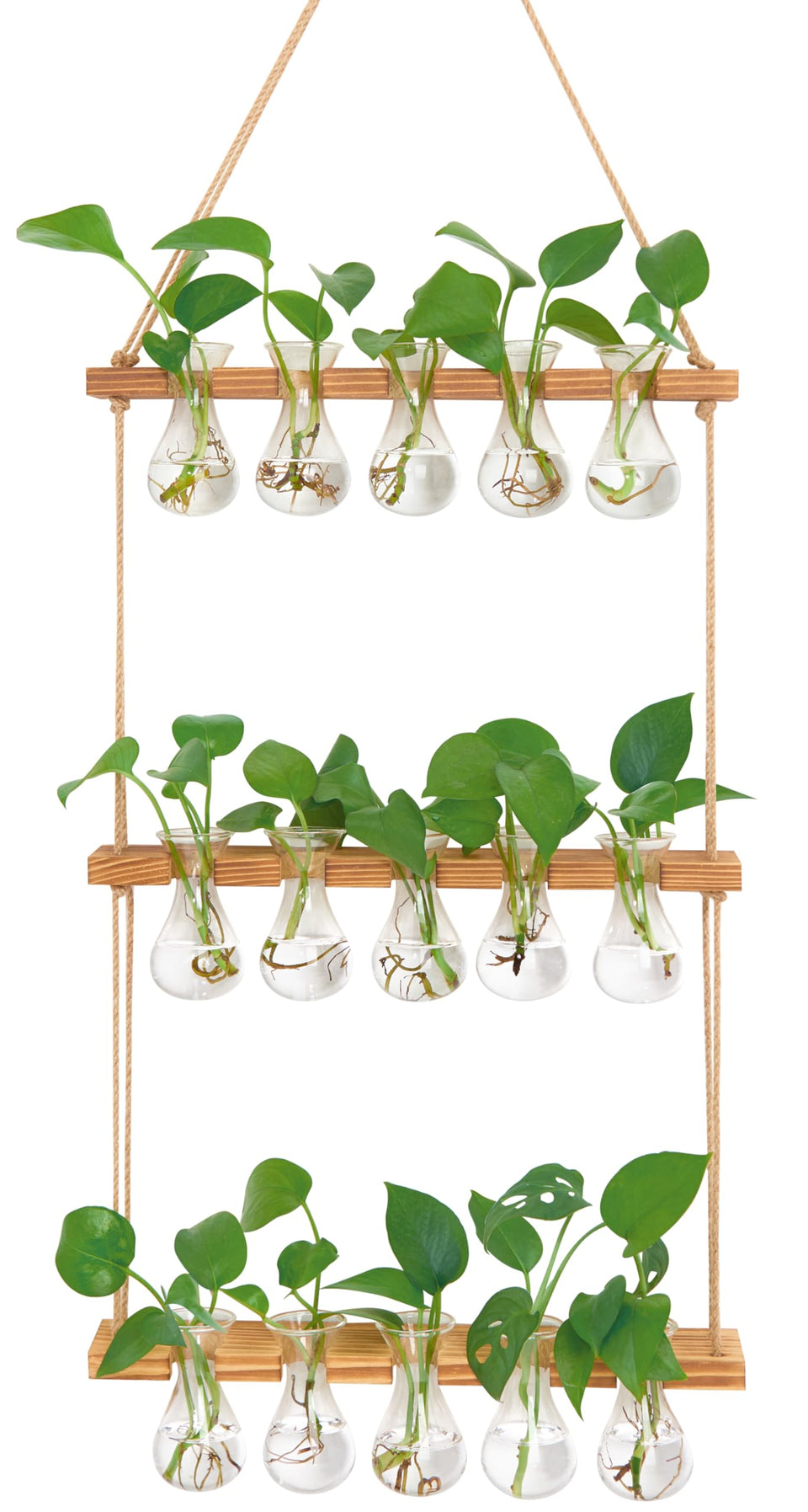 XXXFLOWER wall-hanging propagation station on wooden stand for stylish plant display and easy root observation