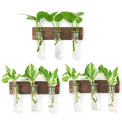 XXXFLOWER wall-mounted propagation station with wooden stand enhances home decor and plant cuttings.