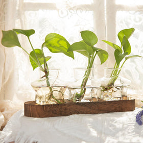 XXXFLOWER wooden tray supports star vases for organized desk decor.