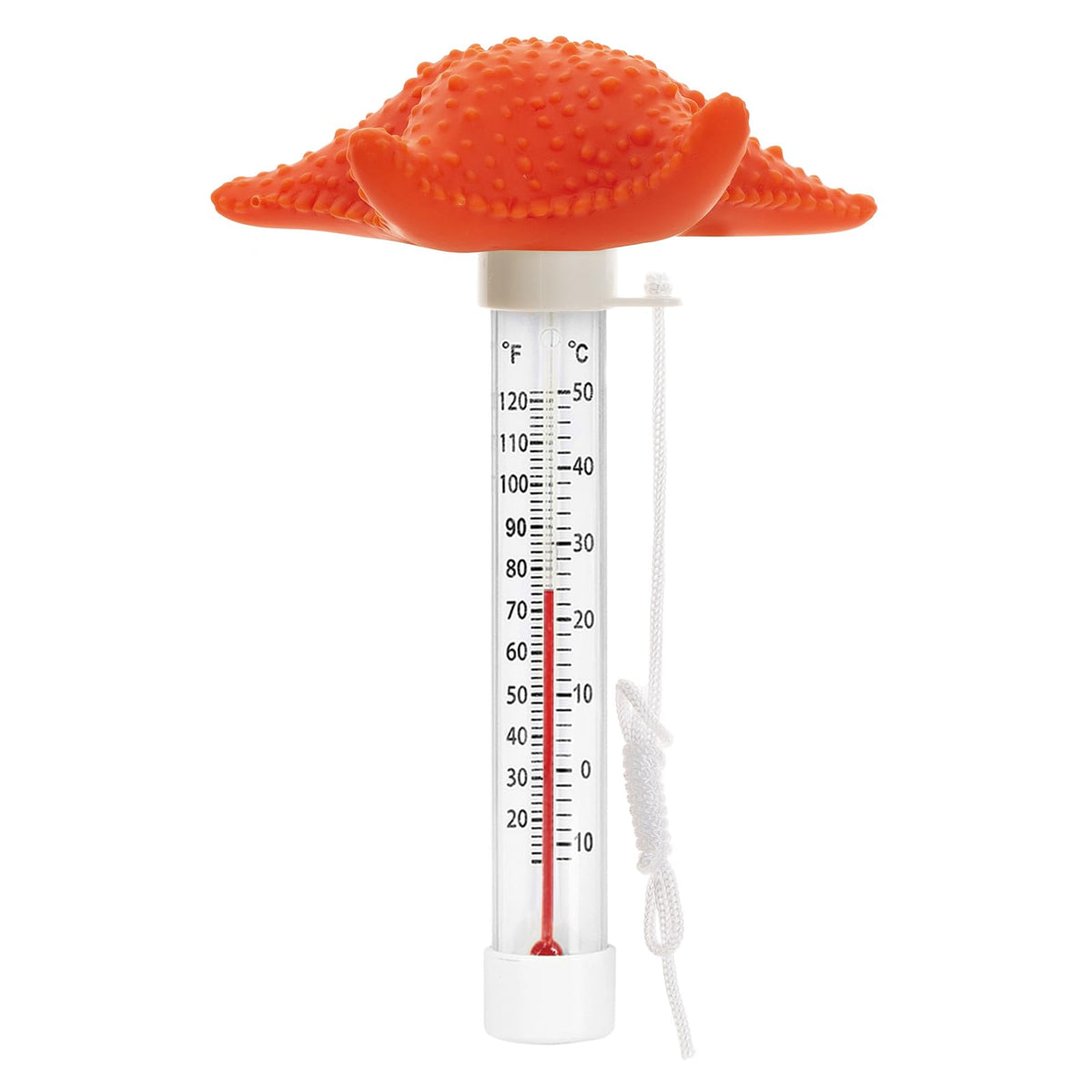 XY-WQ dolphin thermometer set adds whimsy and simple temperature checks