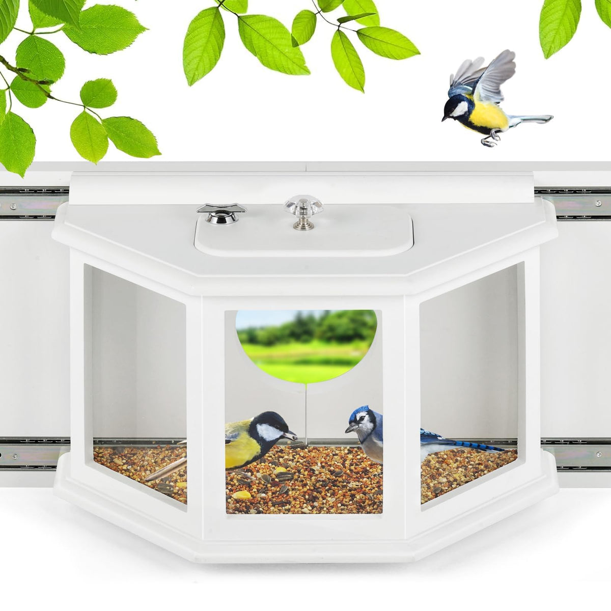 XYADX window bird feeder with secure locker for safe indoor viewing