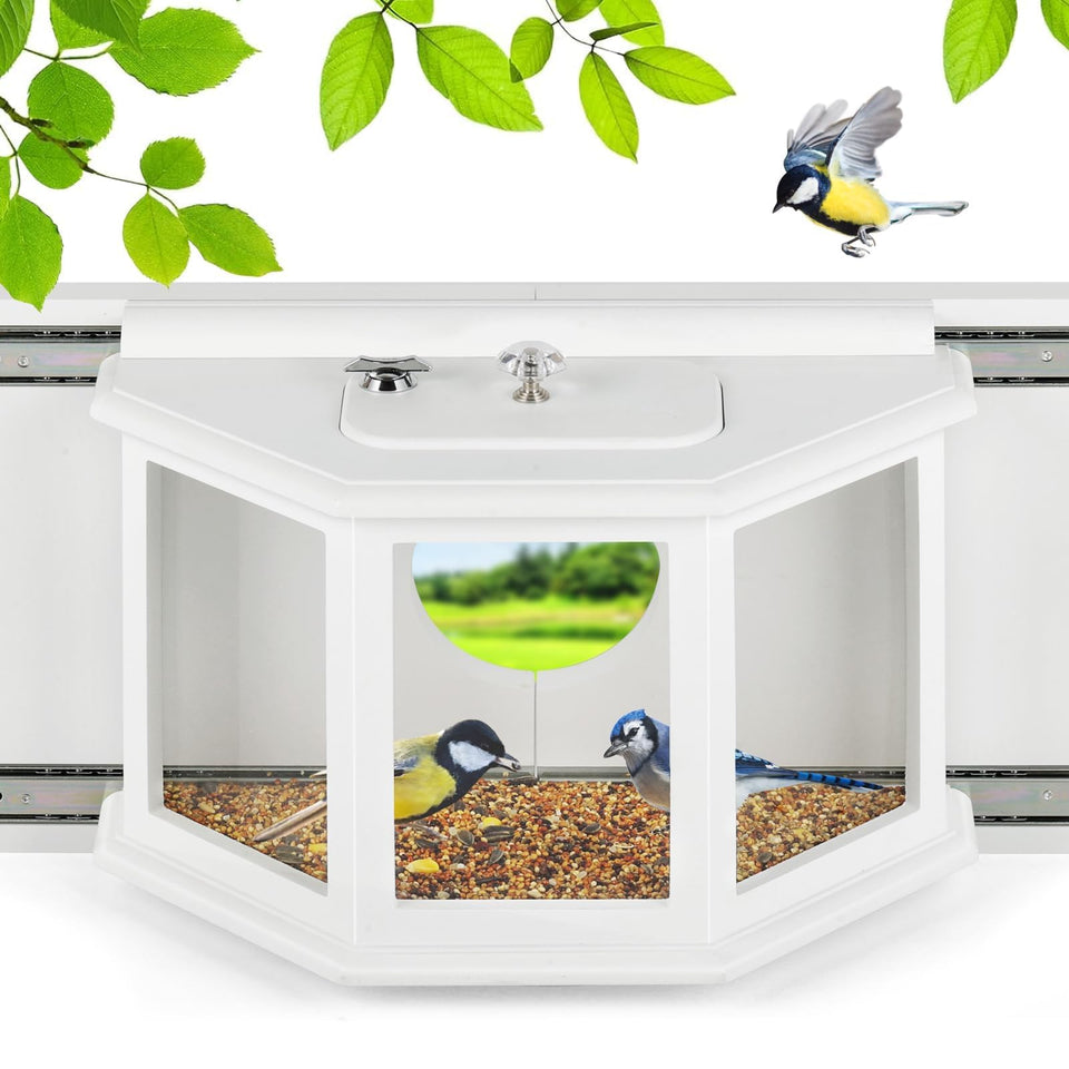 XYADX window bird feeder with secure locker for safe indoor viewing