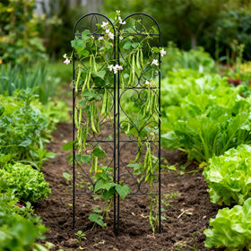 XYCCRX climbing-vegetables support boosts airflow and vertical space for plants