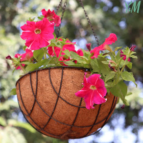 Y&M coco coir liner supports outdoor plant container aeration.