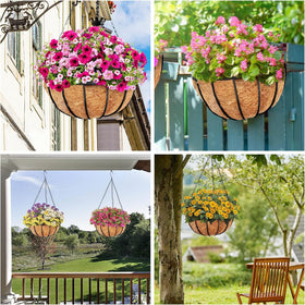 Y&M natural coconut fiber liner for vibrant outdoor planters.