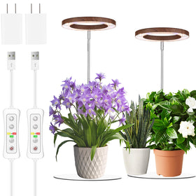 Yadoker 144-LED grow light with walnut housing shines on indoor herbs.