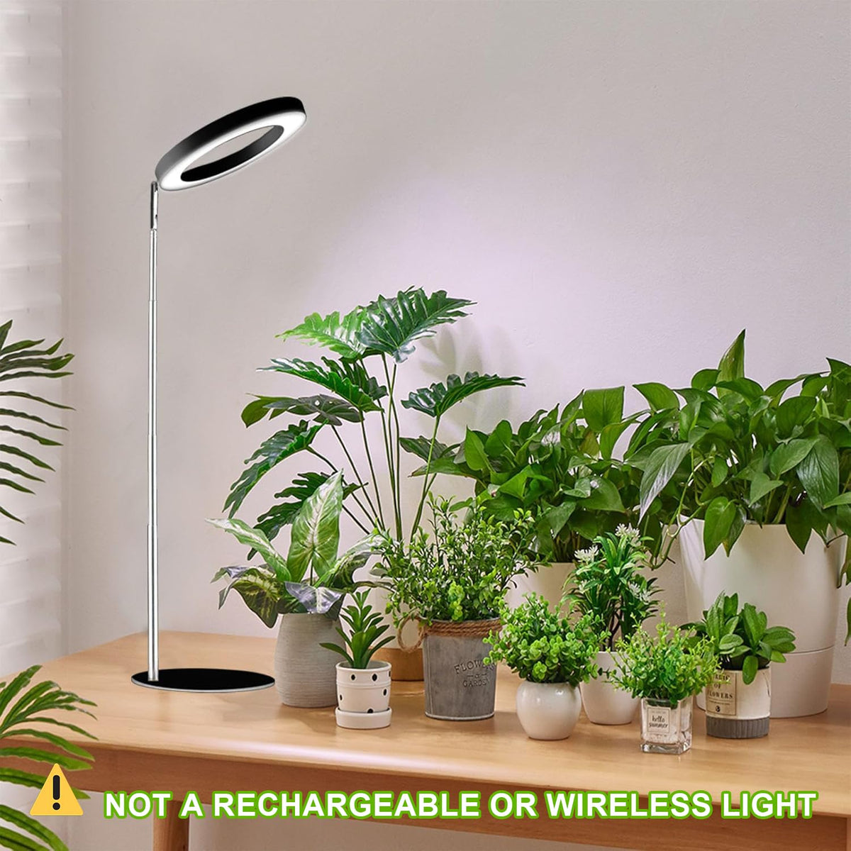 Yadoker suitable for dorm rooms and small apartments for healthy plants.