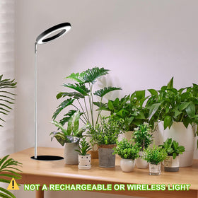 Yadoker suitable for dorm rooms and small apartments for healthy plants.
