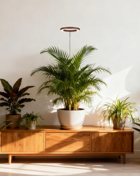 Yadoker grow light in walnut wood-grain aluminum design for stylish durability.