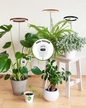 Yadoker light mounted on adjustable pole for optimal distance and tall plants