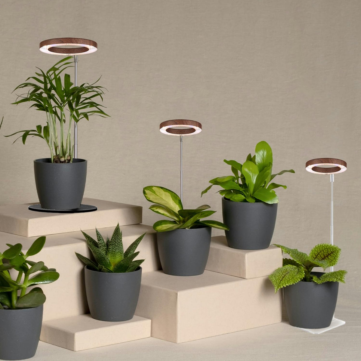 Yadoker grow light brightens kitchen herbs in living space