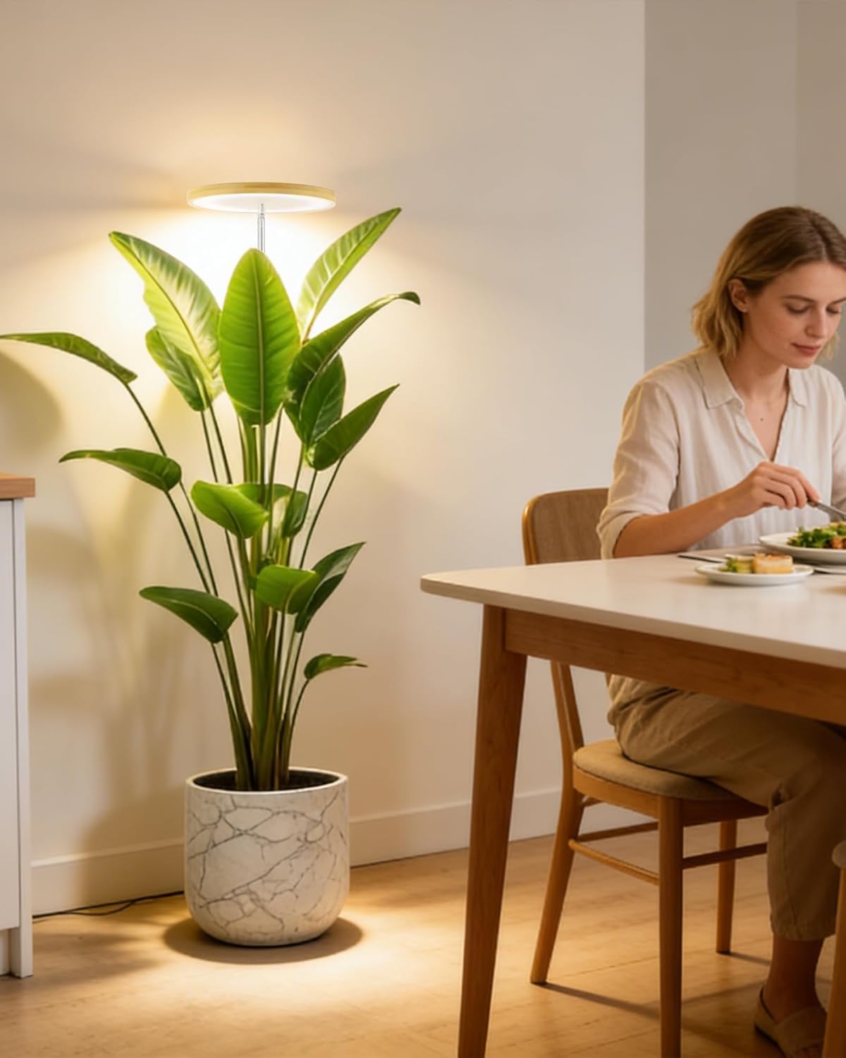 yadoker low-voltage 5V design for safe indoor use.