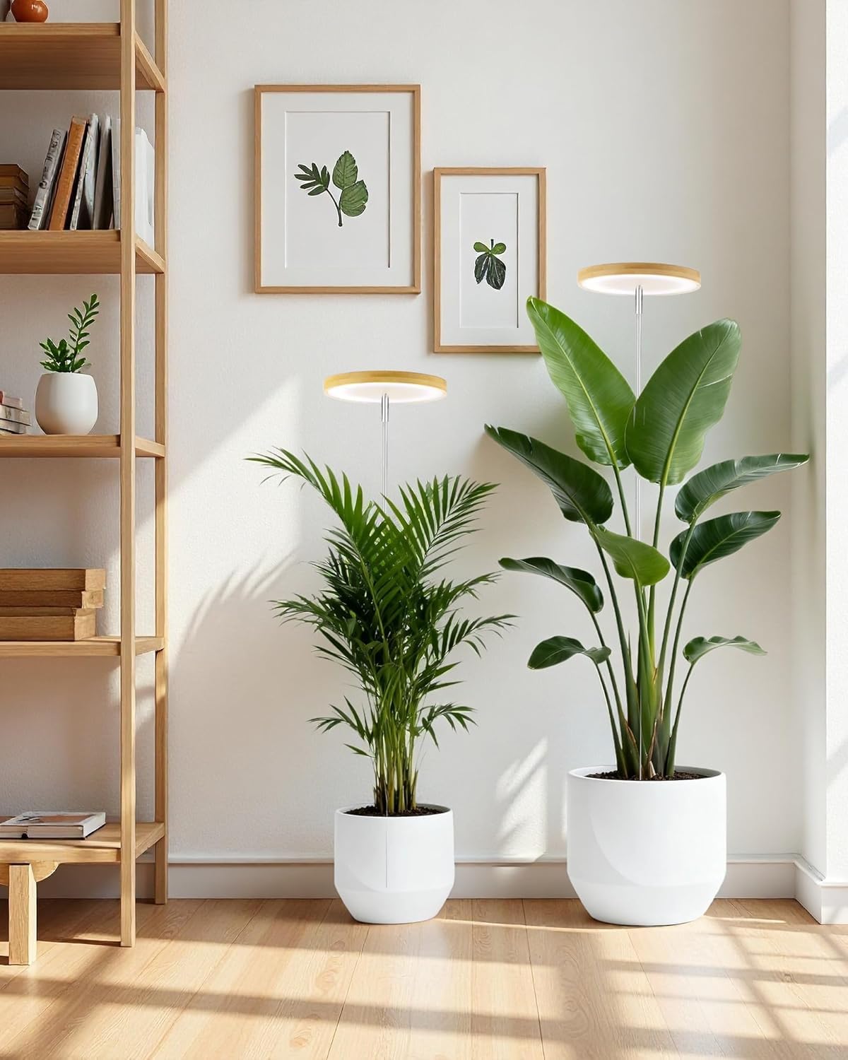 yadoker light provides wide coverage for multiple plants.