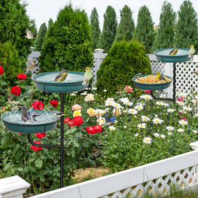 YALINKA sturdy steel-prong base stabilizes the birdbath in soil