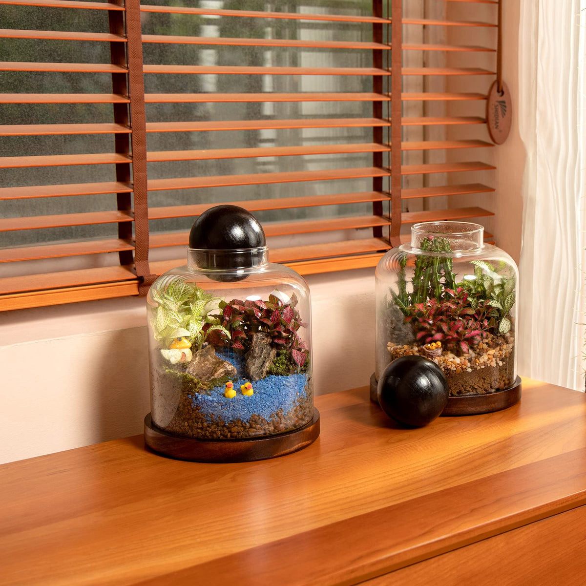 Yangbaga DIY garden terrarium kit inspires creative plant displays.