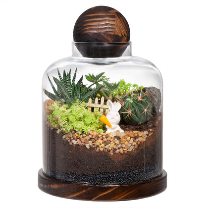 Yangbaga large glass terrarium with ball lid enhances desk decor and plant organization.