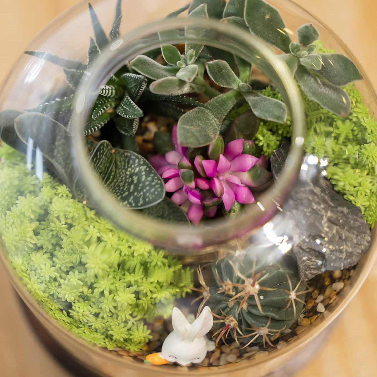 Yangbaga miniature fish bowl terrarium adds calm visual interest to spaces.