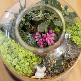 Yangbaga miniature fish bowl terrarium adds calm visual interest to spaces.