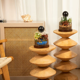 Yangbaga office desk decor terrarium brings natural charm to workspaces.