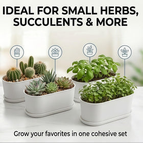 YANGYIXIN herb planter in indoor garden supports year-round herbs.