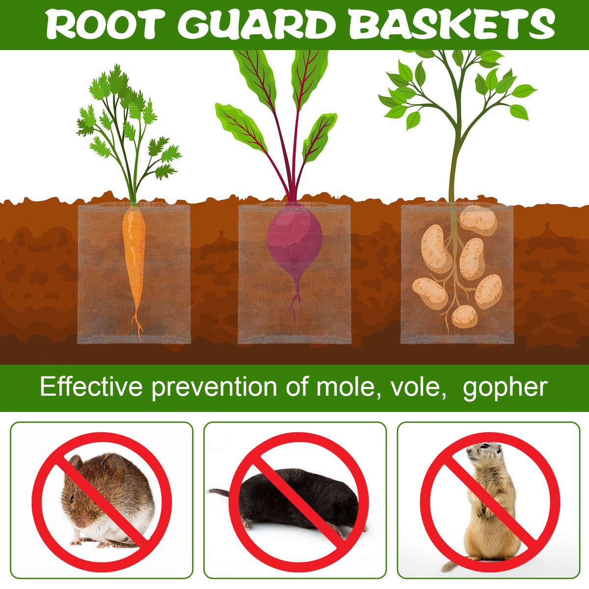 Yaocom root protection guards plants from voles, moles, and gophers.