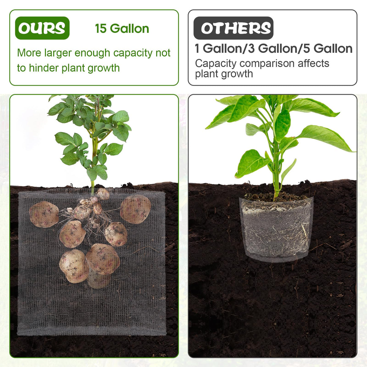 Yaocom basket buries easily for a simple planting experience.