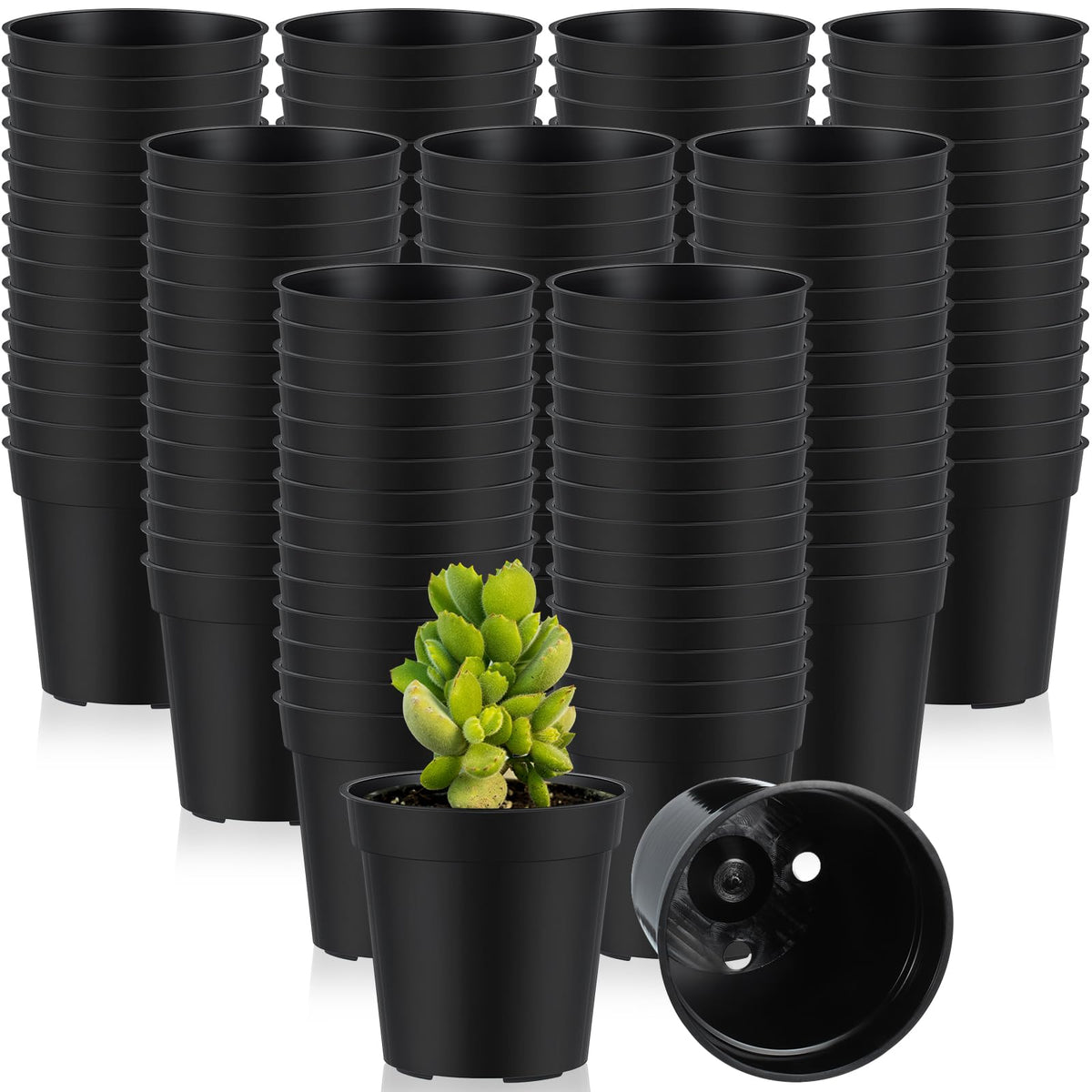 Yaomiao 200-piece, 2-inch black plastic pot ready for seed starting and transplanting.