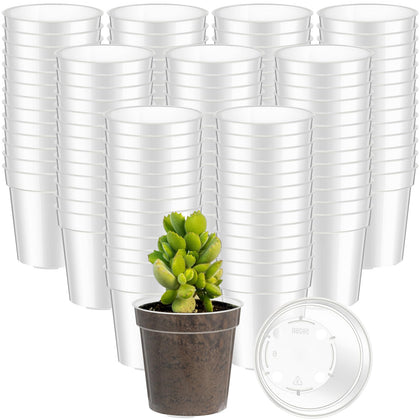 Yaomiao 2-inch clear seed starter pot top view with drainage for seedlings