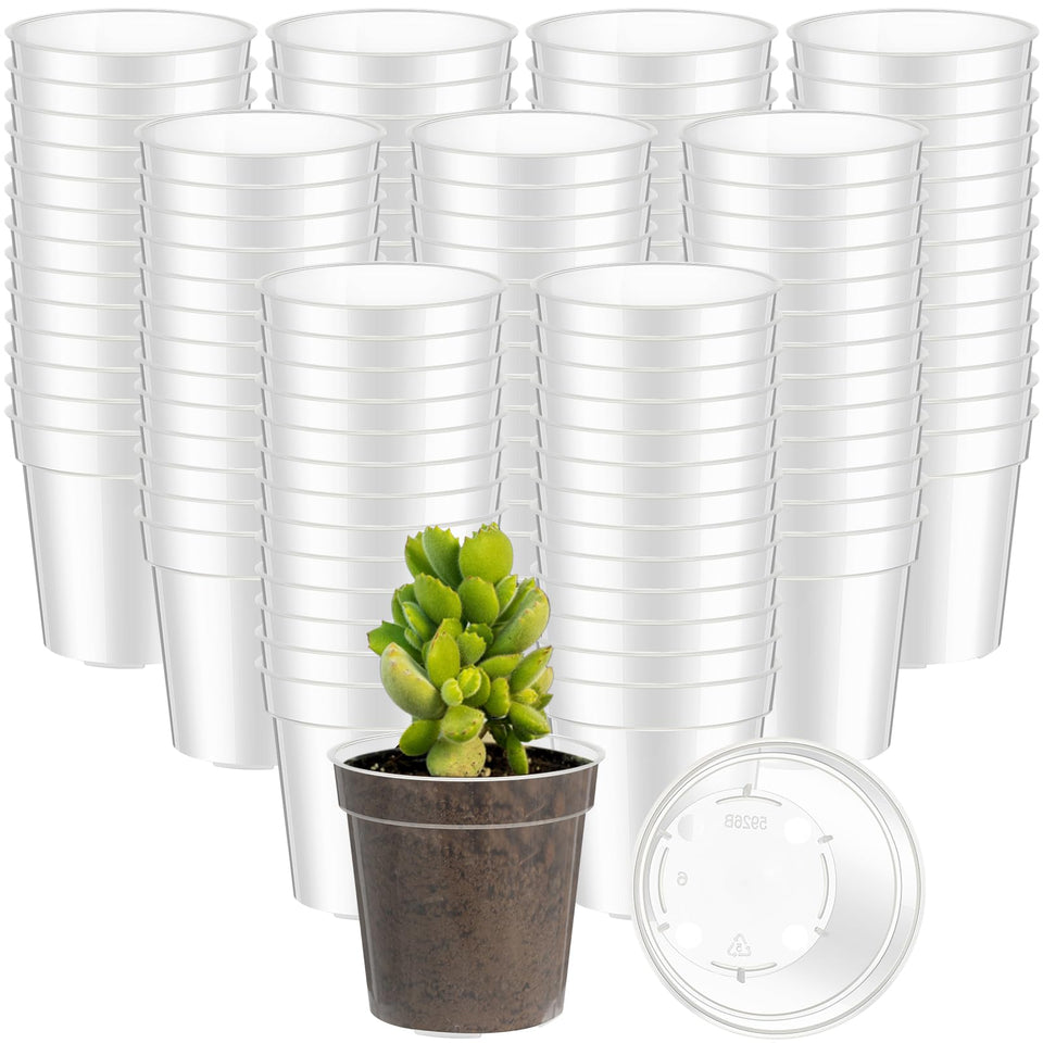 Yaomiao 2-inch clear seed starter pot top view with drainage for seedlings