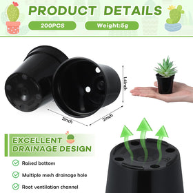 Yaomiao 2-inch plastic pot with drainage holes promotes healthy root drainage.