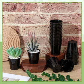 Yaomiao seedling pots in use for indoor and outdoor garden projects.