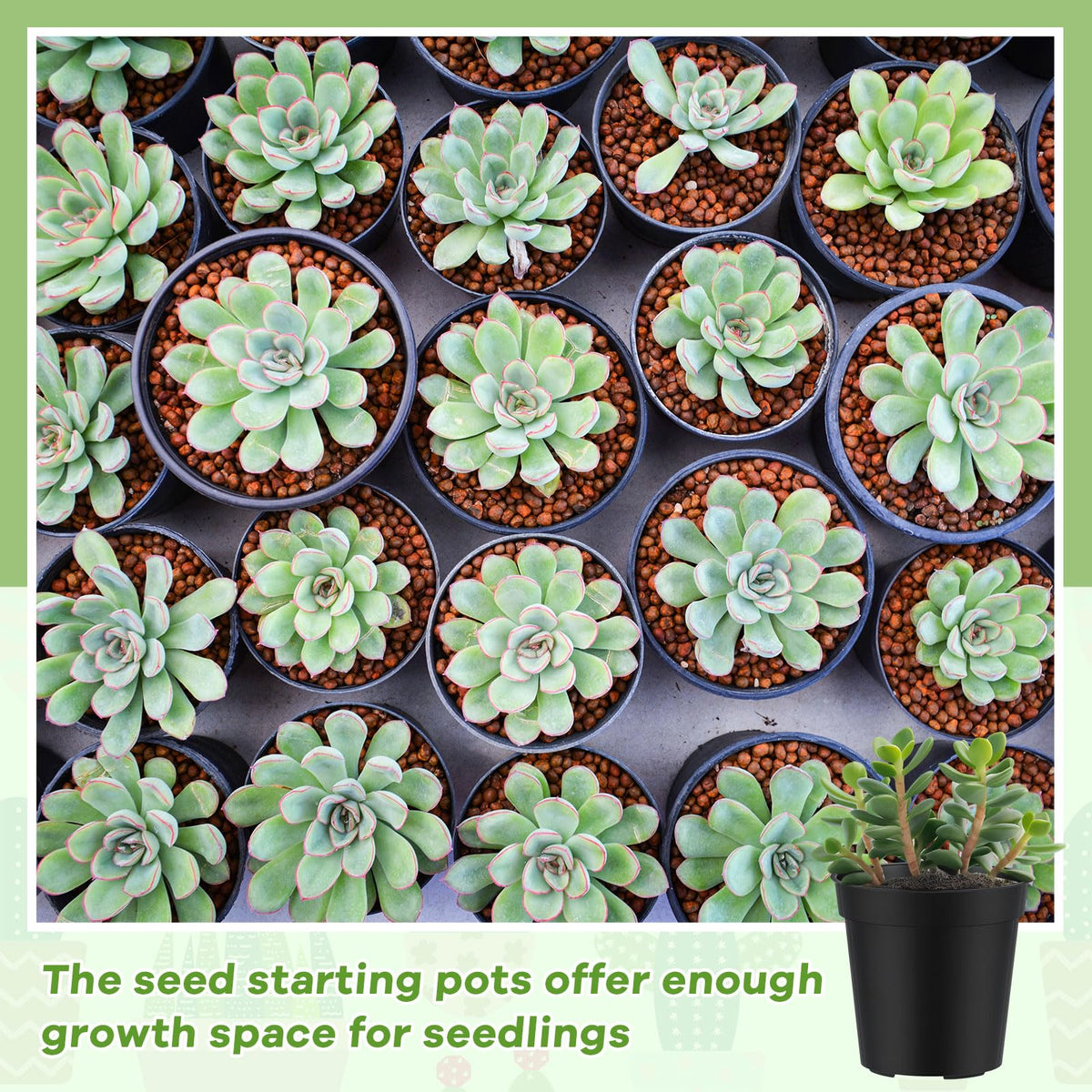 Yaomiao small pots ideal for succulent propagation on balcony shelves.