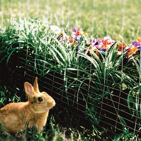 YARDGARD garden protection fence supports plants while maintaining airflow.