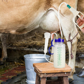 Yardwe no electricity milking solution — off-grid friendly for remote farms.