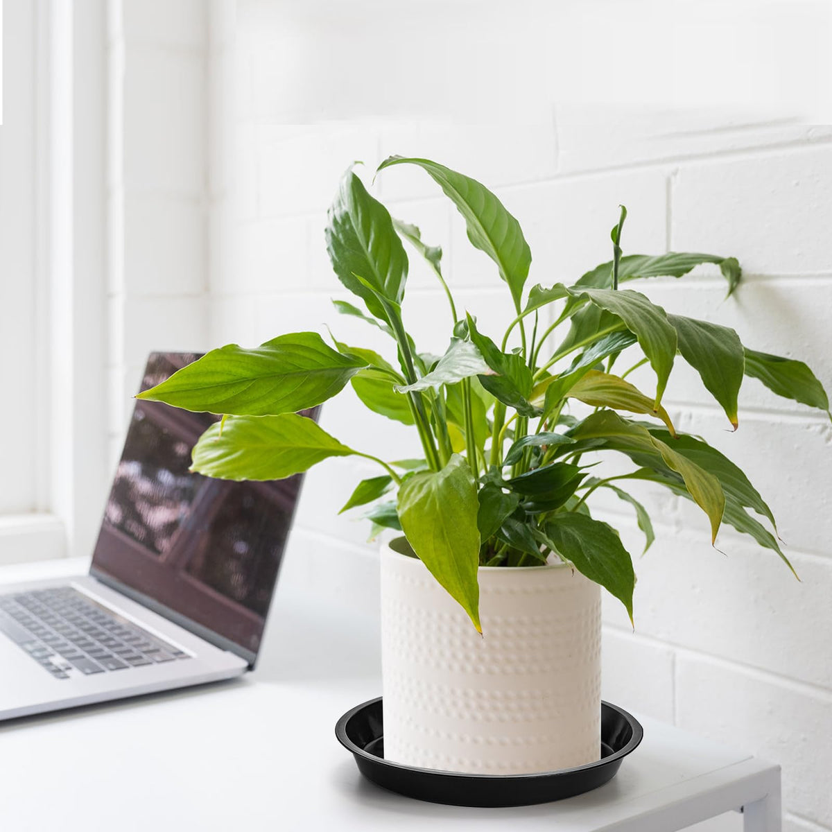Yarlung indoor outdoor plant saucer under pots for mess-free care