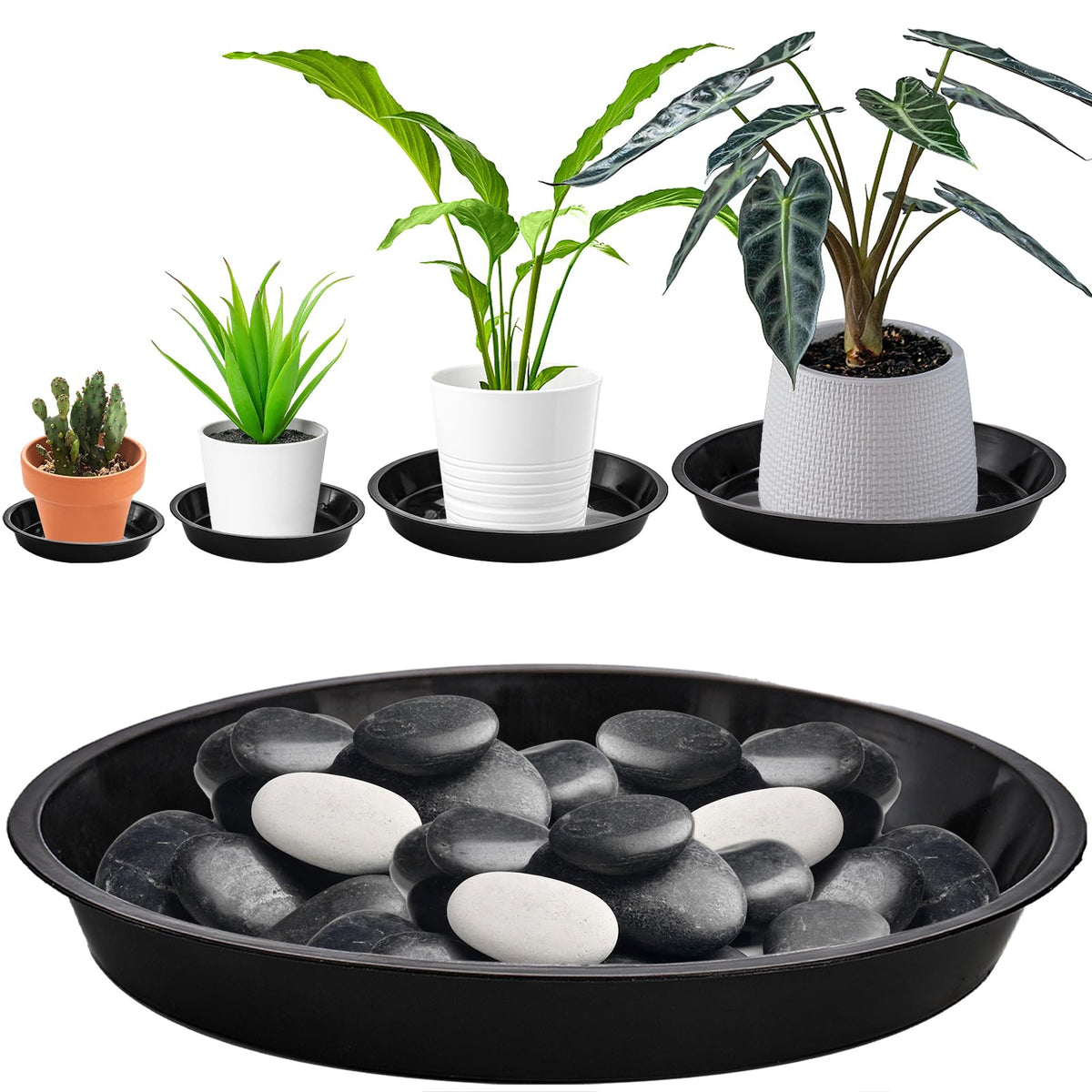 Yarlung 5.5-inch black plant saucer compact drain tray