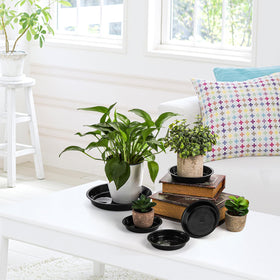 Yarlung water and soil catcher tray for pots and watering routines