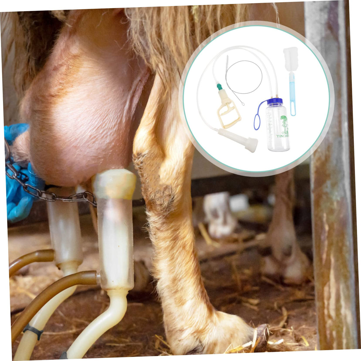 YARNOW cow milk pump with clear bottle shows milk volume.