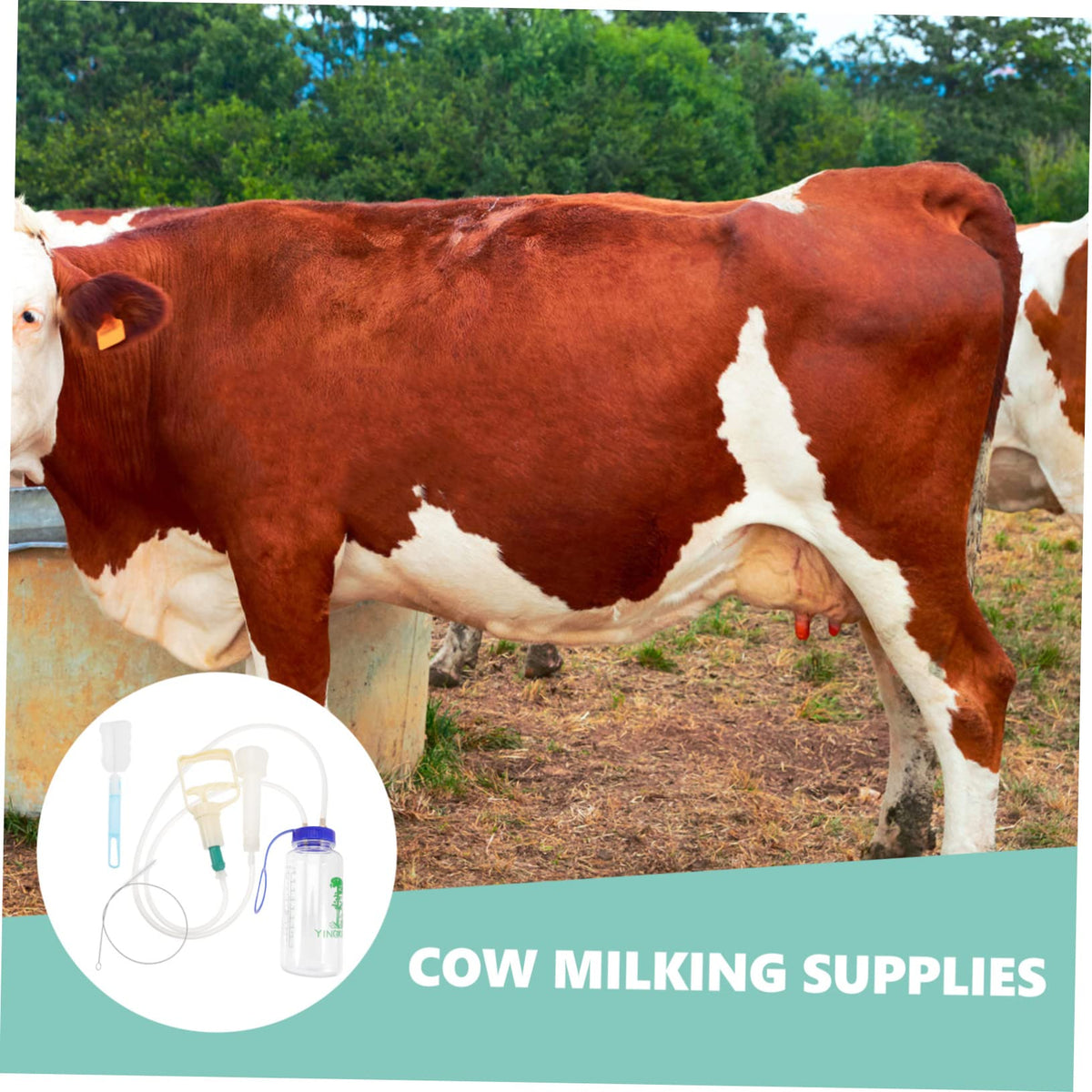 YARNOW portable milker manual operation for easy transport.