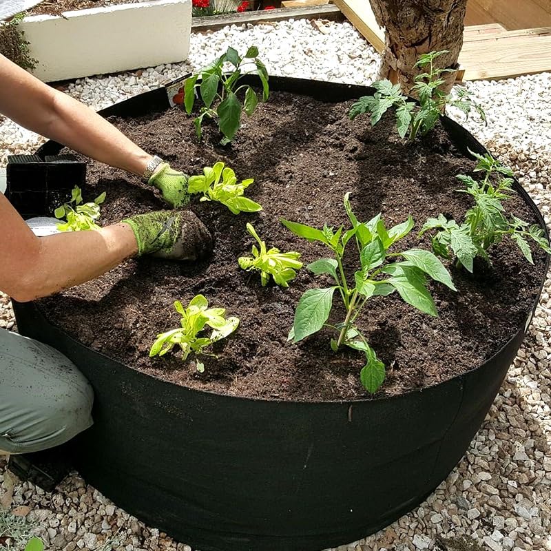 Yarrkc dust bath tub in garden protects plants while birds bathe