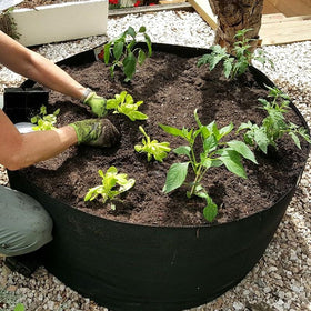 Yarrkc dust bath tub in garden protects plants while birds bathe