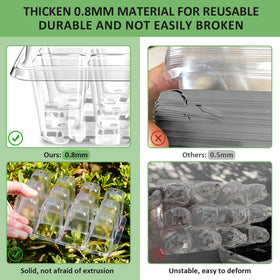 Yaungel transparent seed tray allows easy monitoring of seed development.